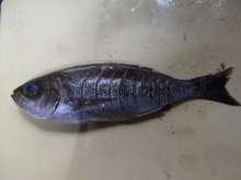 イサキの唐揚げ または外道の唐揚げ レシピ 作り方 By イドの怪物 クックパッド 簡単おいしいみんなのレシピが359万品