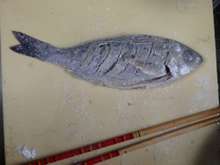 イサキの唐揚げ または外道の唐揚げ レシピ 作り方 By イドの怪物 クックパッド 簡単おいしいみんなのレシピが376万品