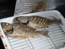 イサキの唐揚げ または外道の唐揚げ レシピ 作り方 By イドの怪物 クックパッド 簡単おいしいみんなのレシピが359万品