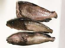 高級魚アコウ キジハタ の煮付け レシピ 作り方 By ぺぺぺぺぺぺぺぺぺぺ クックパッド 簡単おいしいみんなのレシピが354万品