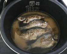 タナゴの炊き込みご飯 レシピ 作り方 By スエア クックパッド