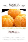 コンポートも楽勝 みかんのワタ 筋取り レシピ 作り方 By Minagart クックパッド 簡単おいしいみんなのレシピが355万品