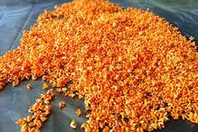 金木犀シロップ漬け モイストポプリ レシピ 作り方 By Maomama398 クックパッド 簡単おいしいみんなのレシピが361万品