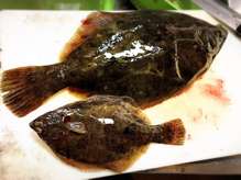 カレイのお刺身を肝ポン酢で 子煮付けも レシピ 作り方 By まるたまん クックパッド