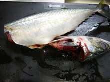 簡単 サバの塩焼き 三枚おろし レシピ 作り方 By だんどり亭 クックパッド 簡単おいしいみんなのレシピが360万品