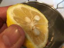 お庭の花ゆず大量消費 花ゆずのジャム レシピ 作り方 By Biko クックパッド 簡単おいしいみんなのレシピが367万品