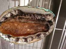 活あわびの最も美味しい食べ方 レシピ 作り方 By ニュークックスタイル クックパッド 簡単おいしいみんなのレシピが361万品