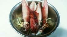 ボイルヤリイカのニンニク醤油炒め レシピ 作り方 By Gaito クックパッド 簡単おいしいみんなのレシピが364万品