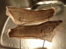 アイナメの炙り刺身 レシピ 作り方 By あおもりの肴 クックパッド 簡単おいしいみんなのレシピが354万品