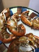 シャコエビの唐揚げ レシピ 作り方 By Tomcat109 クックパッド 簡単おいしいみんなのレシピが361万品