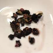 アメフラシ塩茹で 生姜醤油添え レシピ 作り方 By ラクラクダ クックパッド 簡単おいしいみんなのレシピが376万品