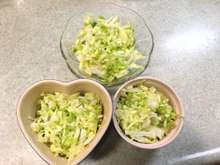 シェフ直伝 酢キャベツ 乳酸キャベツ簡単 レシピ 作り方 By 植野シェフ クックパッド 簡単おいしいみんなのレシピが356万品