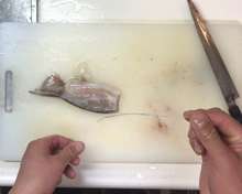 むぎいか するめいか の下処理 レシピ 作り方 By Dentack クックパッド 簡単おいしいみんなのレシピが356万品