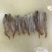 むぎいか するめいか の下処理 レシピ 作り方 By Dentack クックパッド 簡単おいしいみんなのレシピが356万品