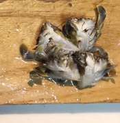 キンセンガニの揚げもの レシピ 作り方 By ラクラクダ クックパッド 簡単おいしいみんなのレシピが361万品