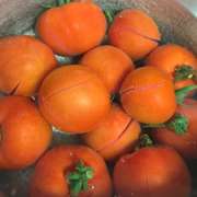 自家製ホールトマト レシピ 作り方 By Connie33 クックパッド 簡単おいしいみんなのレシピが360万品