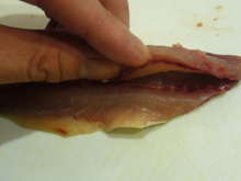 簡単 手抜き 骨抜き不要のアジ料理 レシピ 作り方 By つまりほ クックパッド 簡単おいしいみんなのレシピが351万品