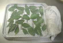 天日干しだけ 自家製ドライバジルの作り方 レシピ 作り方 By Mot Z Lab クックパッド 簡単おいしいみんなのレシピが358万品