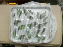 天日干しだけ 自家製ドライバジルの作り方 レシピ 作り方 By Mot Z Lab クックパッド 簡単おいしいみんなのレシピが358万品