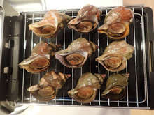 ヒメエゾボラ 青ツブ のつぶ焼き レシピ 作り方 By あおもりの肴 クックパッド 簡単おいしいみんなのレシピが354万品