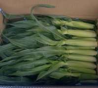 ひげがうまい トースターでヤングコーン レシピ 作り方 By はるがきたぁ クックパッド 簡単おいしいみんなのレシピが358万品