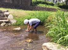 タイワンシジミの調理方法 レシピ 作り方 By 下村山知也 クックパッド 簡単おいしいみんなのレシピが359万品