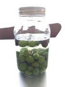 重曹で渋抜き 自家製オリーブの塩漬け レシピ 作り方 By Sallymikd クックパッド 簡単おいしいみんなのレシピが361万品