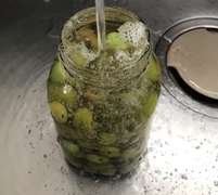 重曹で渋抜き 自家製オリーブの塩漬け レシピ 作り方 By Sallymikd クックパッド 簡単おいしいみんなのレシピが360万品