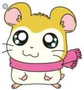 とっとこハム太郎 マフラーちゃん 弁当 レシピ 作り方 By にｬん吉 クックパッド 簡単おいしいみんなのレシピが359万品