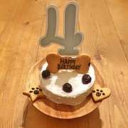 犬用 わんホールbirthdayケーキ レシピ 作り方 By Micoco クックパッド 簡単おいしいみんなのレシピが360万品