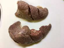 豚のフワ煮 犬ご飯 レシピ 作り方 By おもちまい クックパッド 簡単おいしいみんなのレシピが352万品