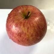 りんごを皮ごと食べる切り方のメモ レシピ 作り方 By ももにゃん クックパッド 簡単おいしいみんなのレシピが365万品