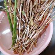 簡単 つくしのはかま取り レシピ 作り方 By 今日の勝家御膳 クックパッド