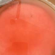 祝い 信州甘い赤飯 蒸し器 甘納豆 レシピ 作り方 By 給食ママ クックパッド 簡単おいしいみんなのレシピが354万品