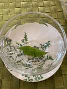 レモンマートル ティー レシピ 作り方 By ノリリンゴ クックパッド 簡単おいしいみんなのレシピが360万品