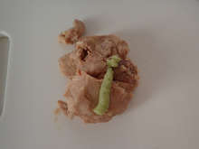 カワハギの肝和え丼 レシピ 作り方 By あおもりの肴 クックパッド 簡単おいしいみんなのレシピが368万品