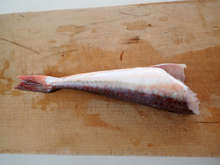 ホウボウの刺身 レシピ 作り方 By あおもりの肴 クックパッド 簡単おいしいみんなのレシピが356万品