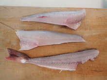 ホウボウの刺身 レシピ 作り方 By あおもりの肴 クックパッド 簡単おいしいみんなのレシピが356万品