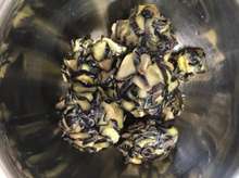 簡単 大量消費 ご飯がすすむナスの漬物 レシピ 作り方 By Yuuumiko クックパッド 簡単おいしいみんなのレシピが359万品