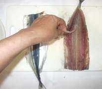 秋刀魚開き方 簡単腹開き レシピ 作り方 By 漢方薬のタカキ大林店 クックパッド 簡単おいしいみんなのレシピが361万品