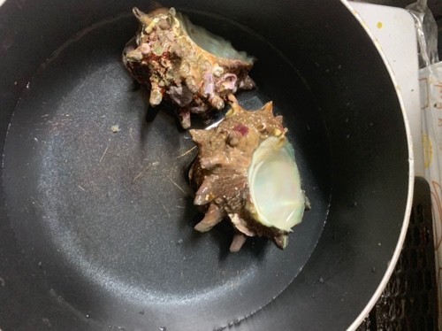 サザエ刺身 サザエを捌こう レシピ 作り方 By 藤井２１ クックパッド 簡単おいしいみんなのレシピが361万品