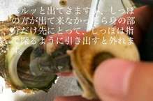 サザエの捌き方 刺身の作り方 レシピ 作り方 By ファットマン小川 クックパッド 簡単おいしいみんなのレシピが356万品