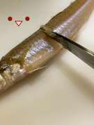 基本 キスの背開き 天ぷら用 レシピ 作り方 By ファットマン小川 クックパッド 簡単おいしいみんなのレシピが353万品