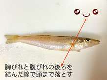 基本 キスの捌き方 刺身編 レシピ 作り方 By 料理愛好家五郎左衛門 クックパッド