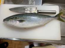 ワカシのバター醤油焼き レシピ 作り方 By 藤井２１ クックパッド 簡単おいしいみんなのレシピが375万品