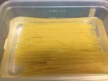 包丁も火も使わない 簡単全卵カルボナーラ レシピ 作り方 By サヤスカマカン クックパッド 簡単おいしいみんなのレシピが354万品