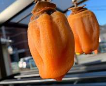 干し柿 失敗しない 黒くならない レシピ 作り方 By 高武料理室 クックパッド 簡単おいしいみんなのレシピが366万品