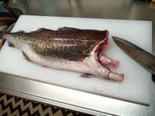 タラのさばき方 アラの使い道 レシピ 作り方 By さくるど クックパッド 簡単おいしいみんなのレシピが358万品