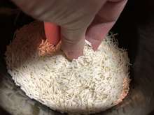 離乳食 そうめんの冷凍保存 レシピ 作り方 By コトリ トマト クックパッド 簡単おいしいみんなのレシピが366万品