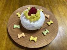 犬用お誕生日ケーキ レシピ 作り方 By Maridayoo クックパッド 簡単おいしいみんなのレシピが350万品